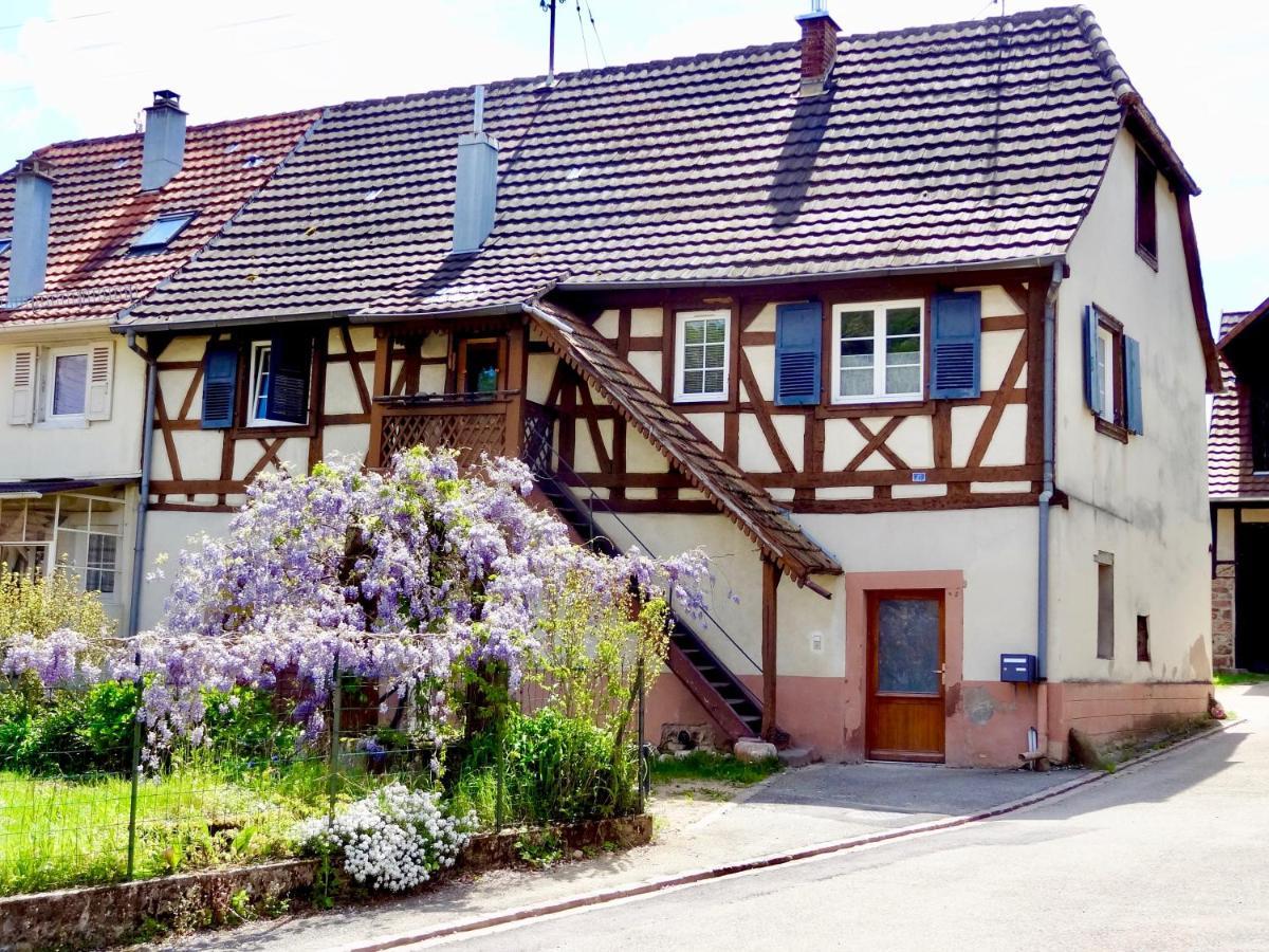 La Couette Enchantee - Parking - Zimmerbach Dış mekan fotoğraf